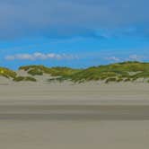 Review photo of South Beach State Park Campground by Tj B., August 8, 2018