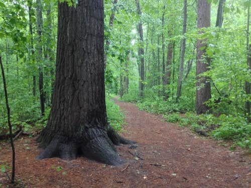 Camper submitted image from Deer Lake Campground - 2