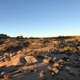 Review photo of Jumbo Rocks Campground — Joshua Tree National Park by Zack R., August 7, 2018