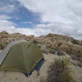 Review photo of Jumbo Rocks Campground — Joshua Tree National Park by Zack R., August 7, 2018