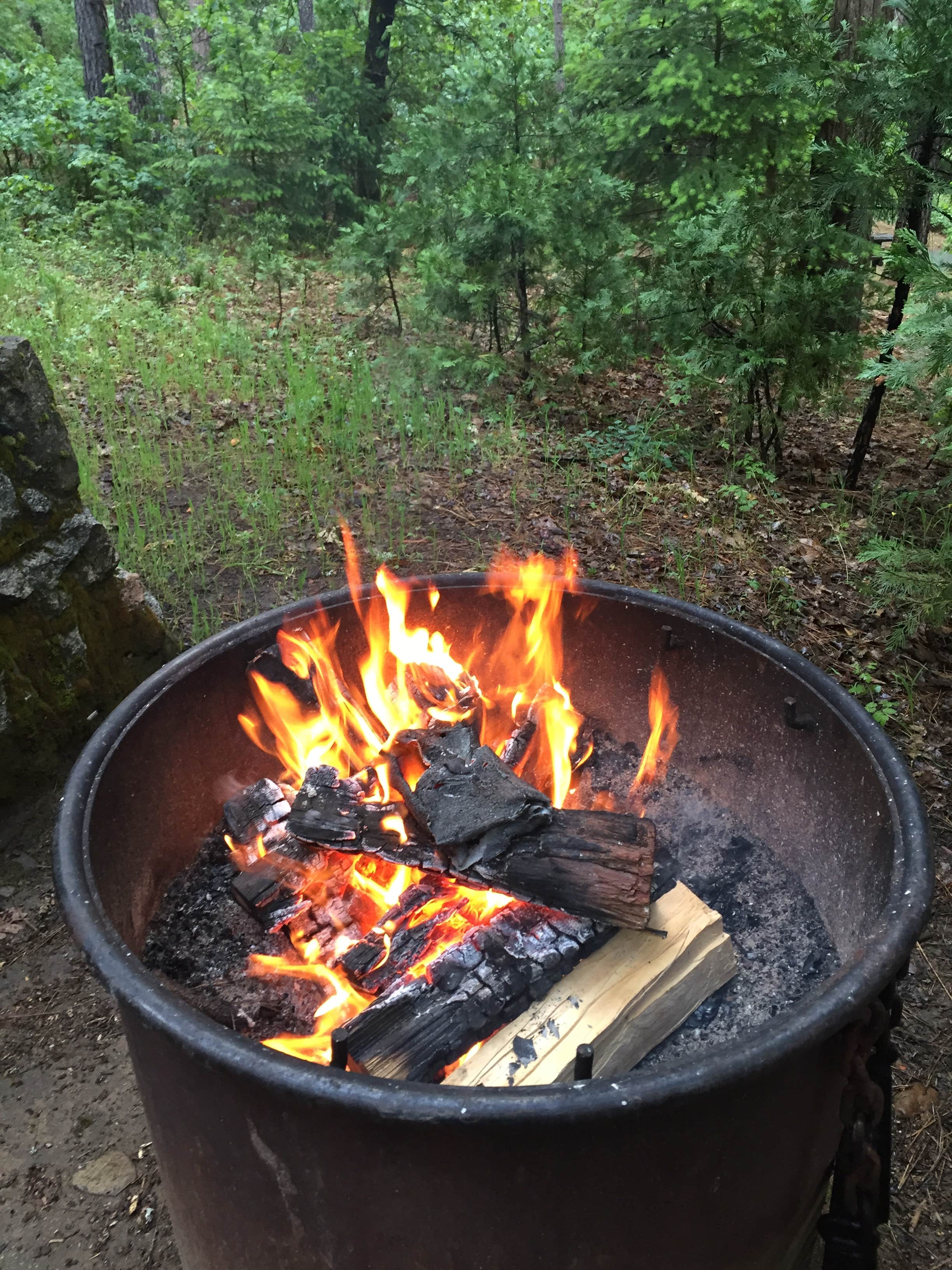 Camper submitted image from Castle Crags State Park Campground - 2