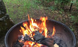 Zack R.'s photo at Castle Crags State Park Campground near Castella, CA