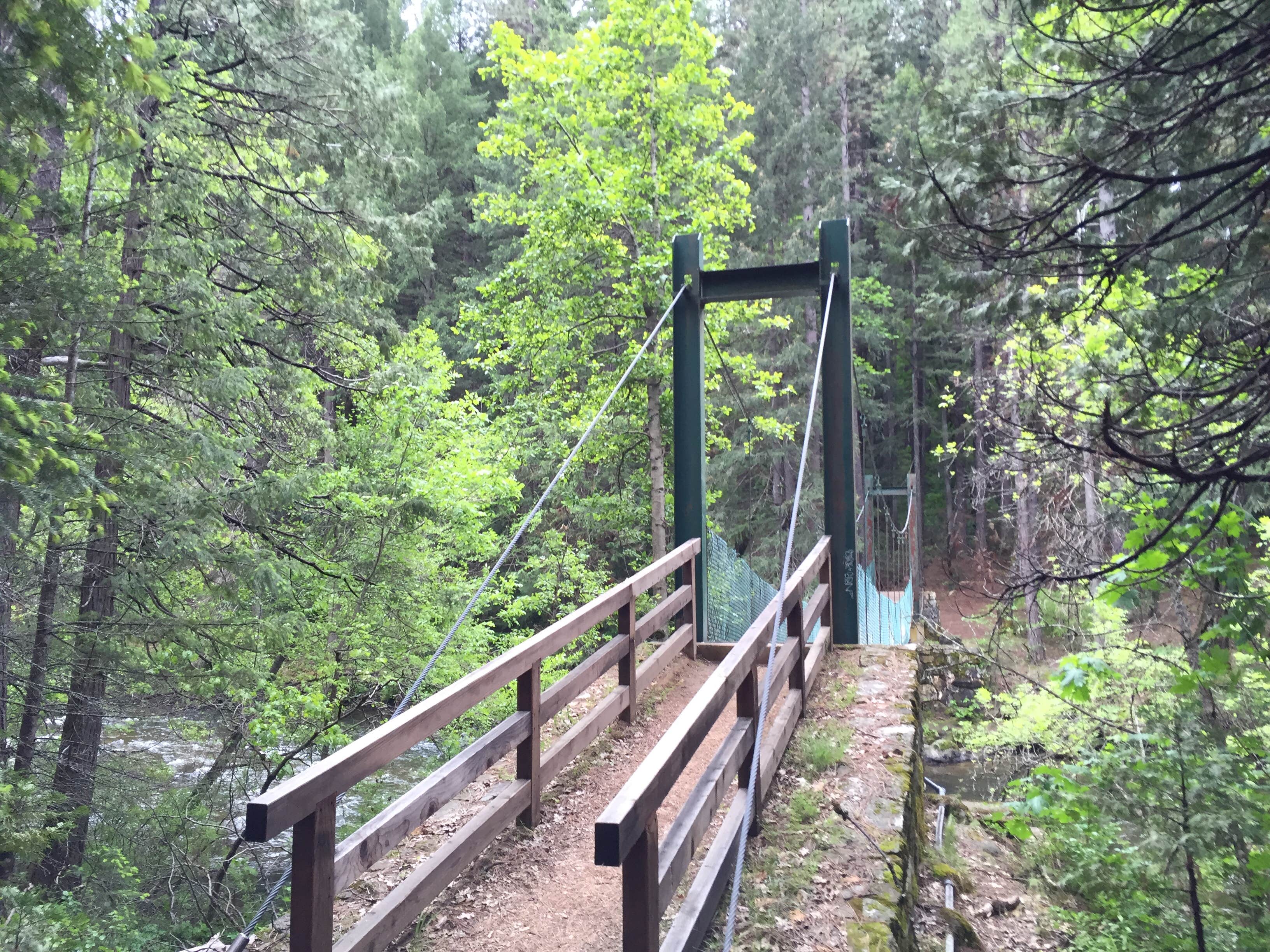 Camper submitted image from Castle Crags State Park Campground - 1