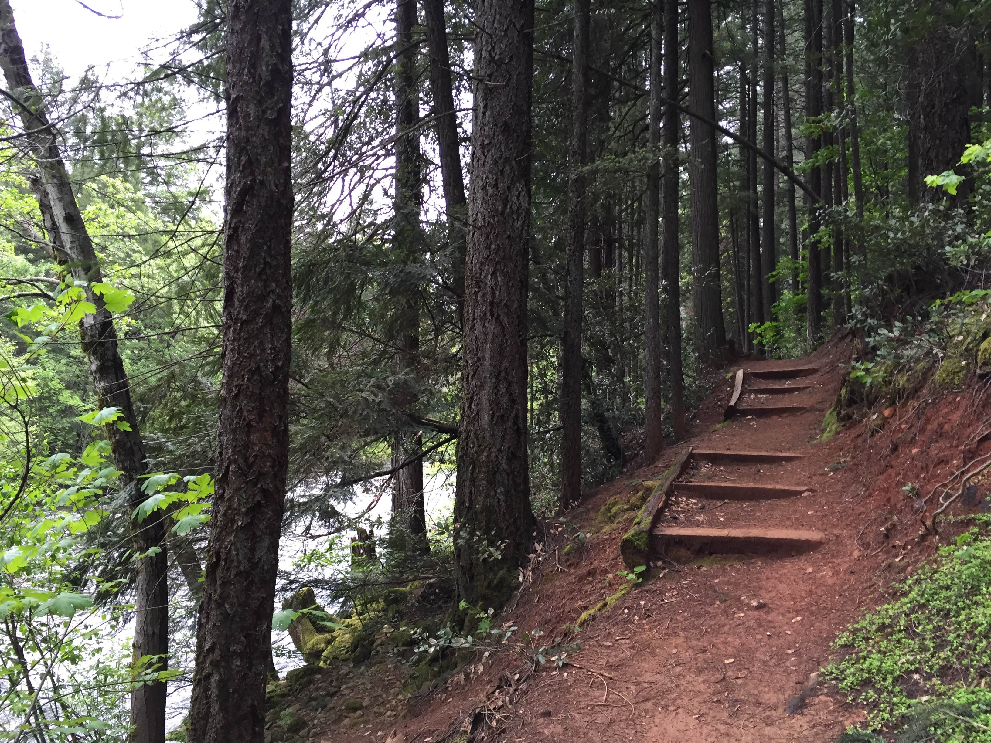 Camper-submitted photo at Castle Crags State Park Campground near Lakehead, CA