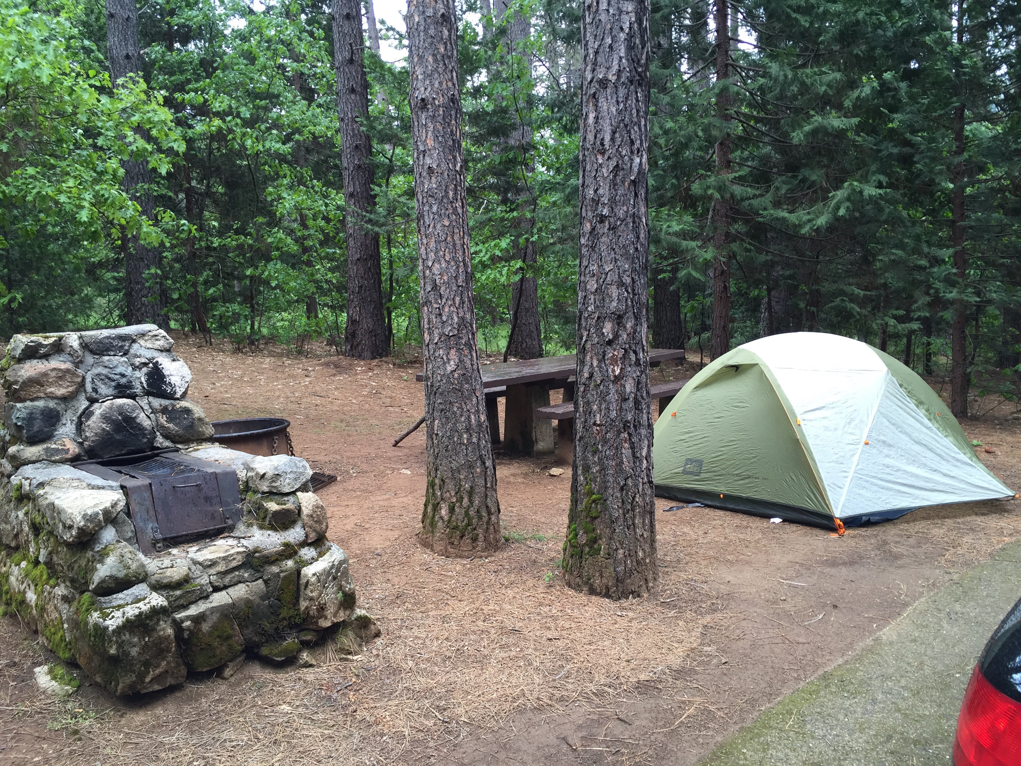 Camper submitted image from Castle Crags State Park Campground - 4