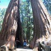 Review photo of Lodgepole Campground — Sequoia National Park by Zack R., August 8, 2018