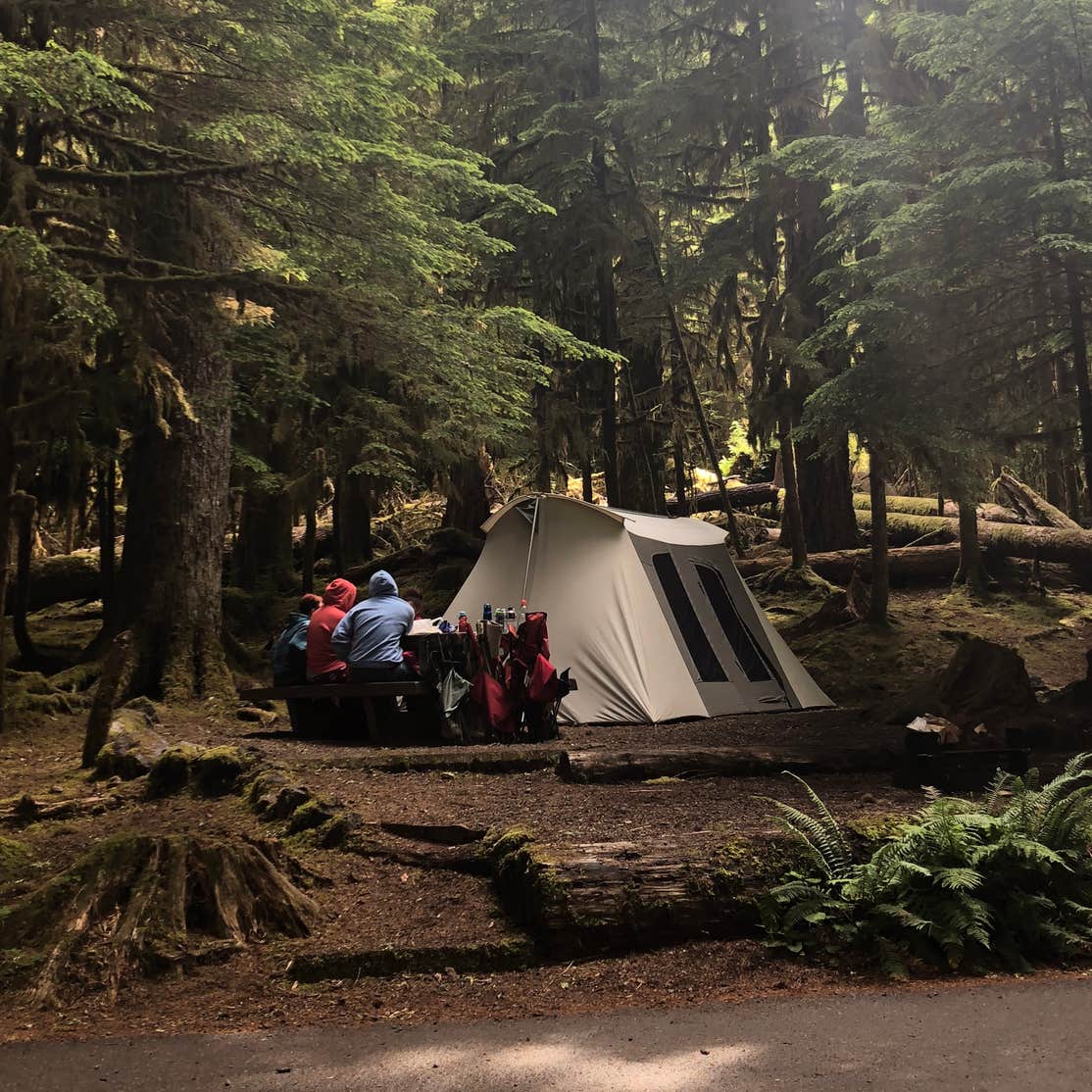 Sol Duc Campground - Olympic National Park Camping | The Dyrt