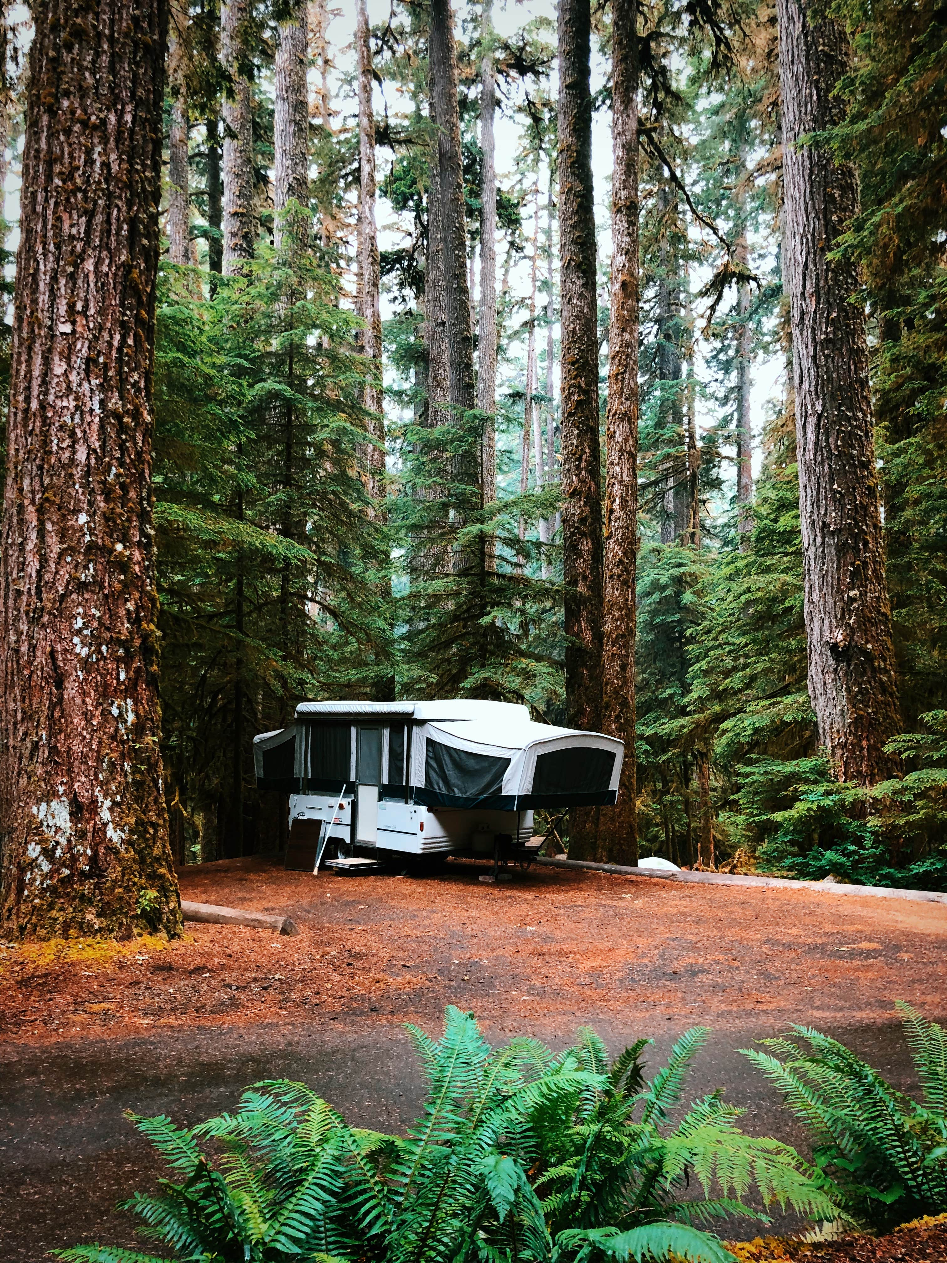 Robyn H.'s photo at Sol Duc Hot Springs Resort Campground — Olympic National Park near Olympic National Park