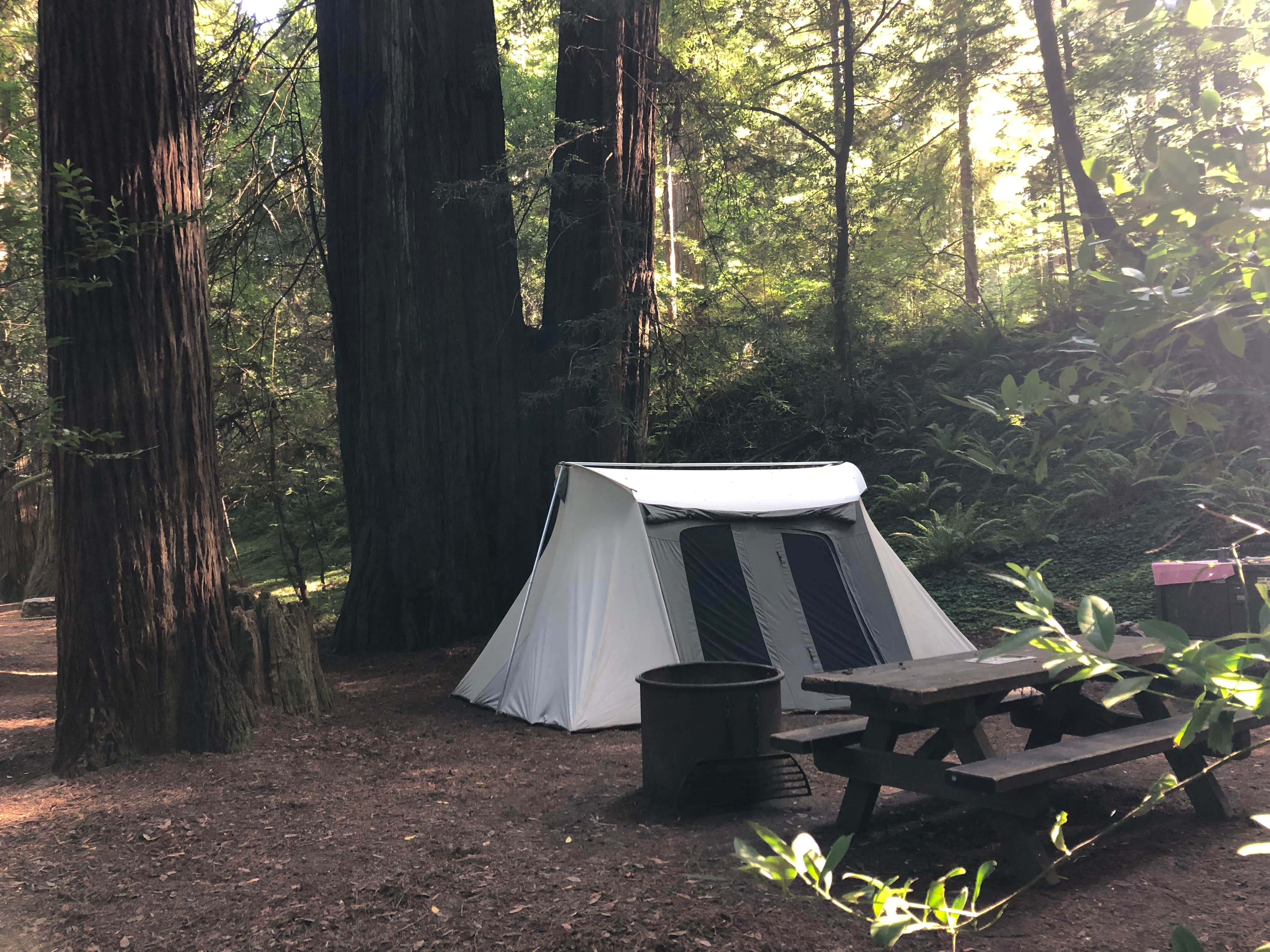 Robyn H.'s photo at Jedidiah Smith Campground — Redwood National Park near Hiouchi, CA