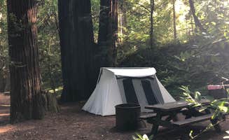 Robyn H.'s photo at Jedediah Smith Redwoods State Park Campground near Crescent City, CA