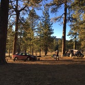 Review photo of El Prado Campground by Olivia R., August 8, 2018