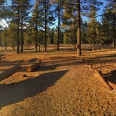 Review photo of El Prado Campground by Olivia R., August 8, 2018