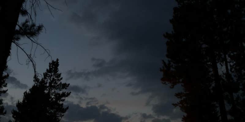 Camper submitted image from Christmas Meadows