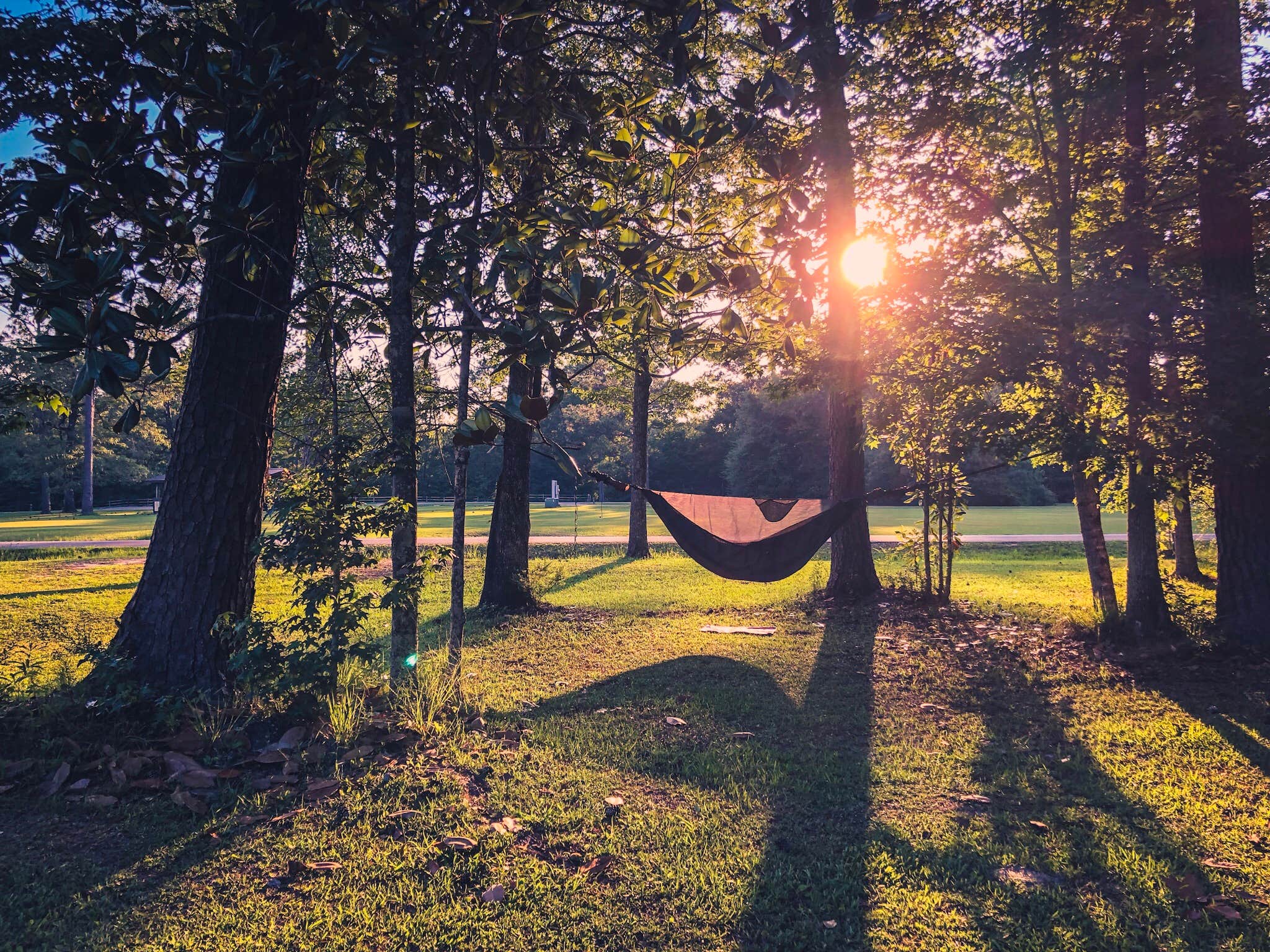 Camper submitted image from Big Biloxi Recreation Area - 2