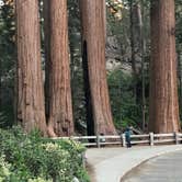 Review photo of Grant Grove Cabins by Robyn H., August 8, 2018