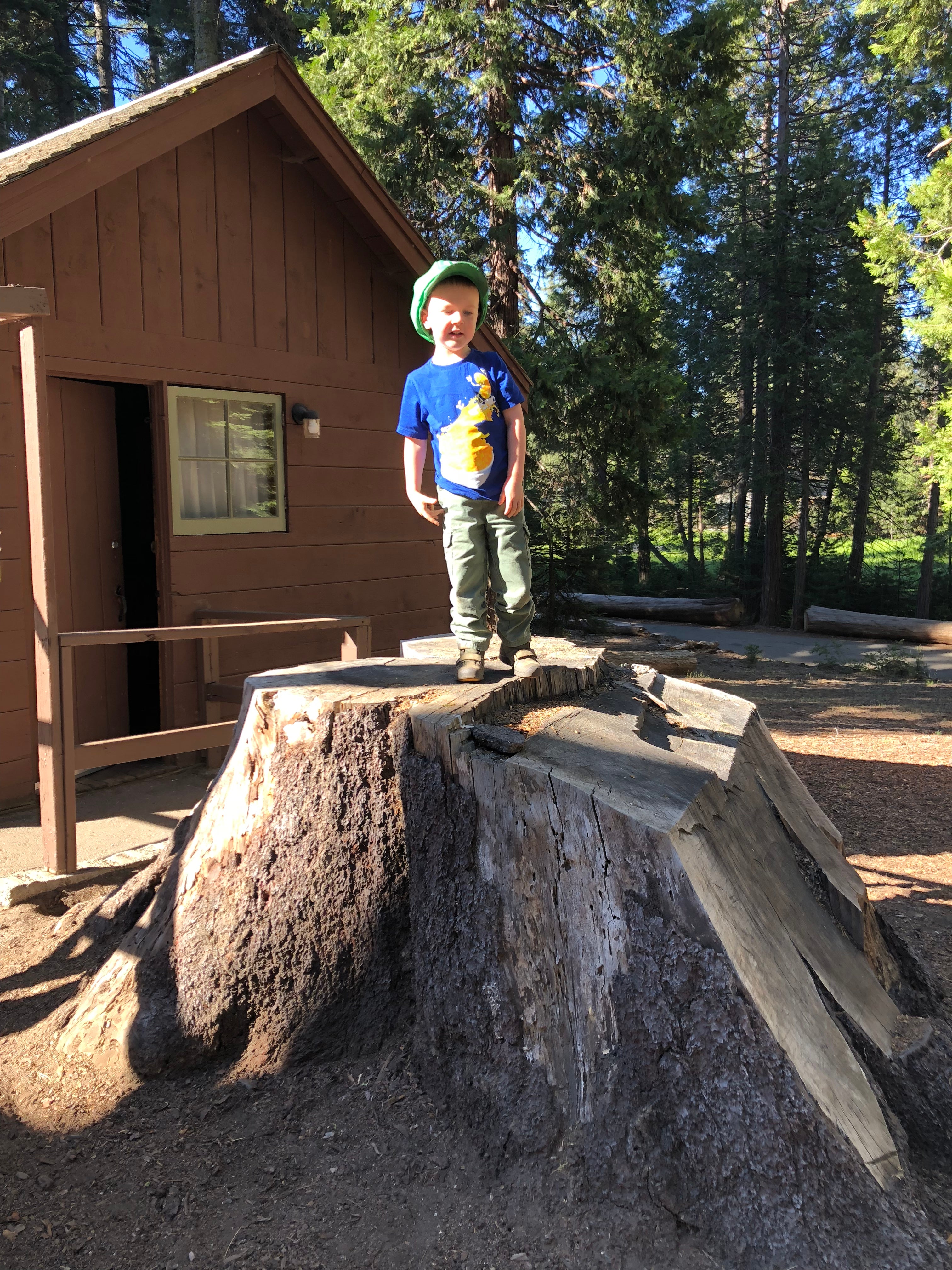 Camper submitted image from Grant Grove Cabins — Kings Canyon National Park - 5