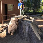 Review photo of Grant Grove Cabins by Robyn H., August 8, 2018