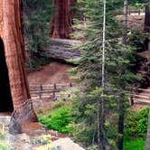 Review photo of Grant Grove Cabins by Robyn H., August 8, 2018