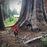 Review photo of Grant Grove Cabins by Robyn H., August 8, 2018