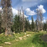 Review photo of Wasatch National Forest Moosehorn Campground by Hannah S., August 8, 2018