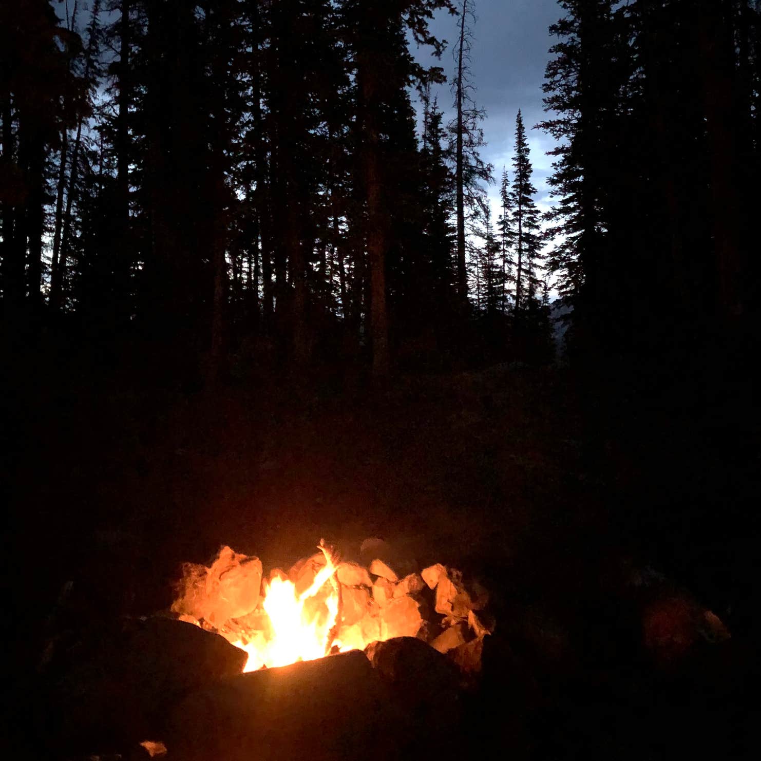 Moosehorn Camping The Dyrt