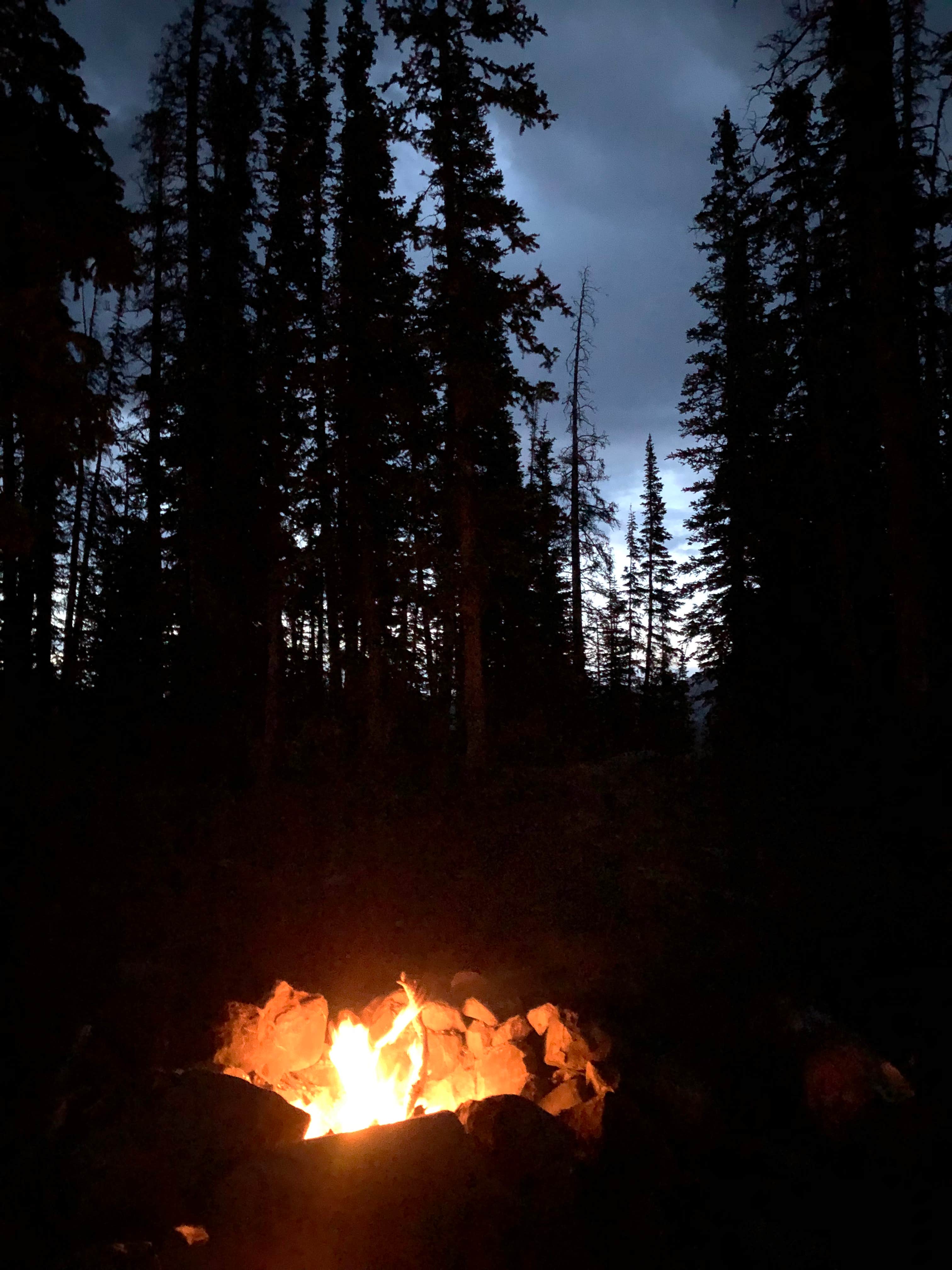 Camper submitted image from Wasatch National Forest Moosehorn Campground - 3