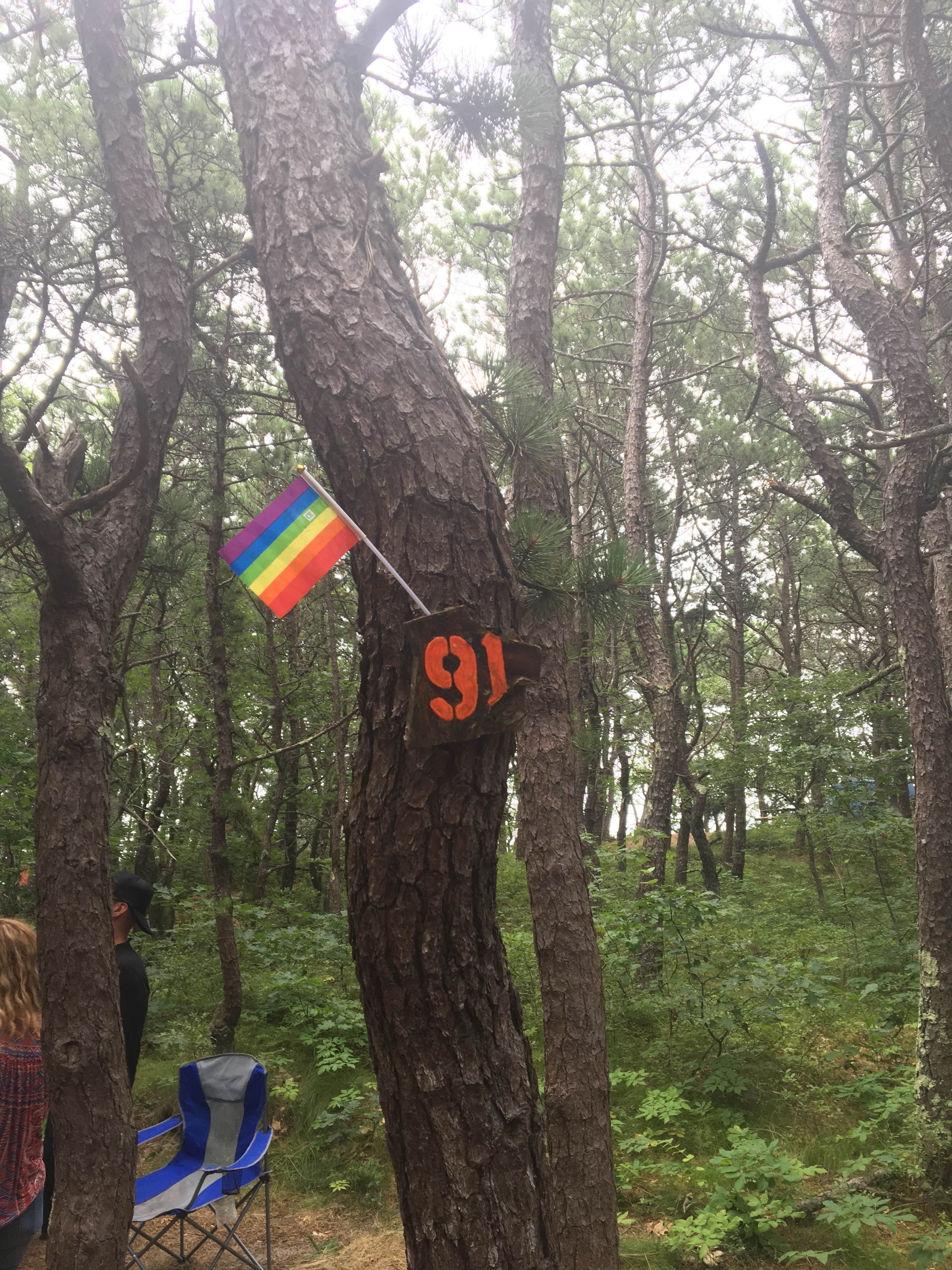 Camper submitted image from Dunes' Edge Campground - Provincetown Camping - 4