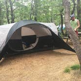 Review photo of Dunes' Edge Campground - Provincetown Camping by Olivia R., August 8, 2018