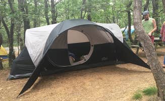 Olivia R.'s photo at Dunes' Edge Campground - Provincetown Camping near Provincetown, MA