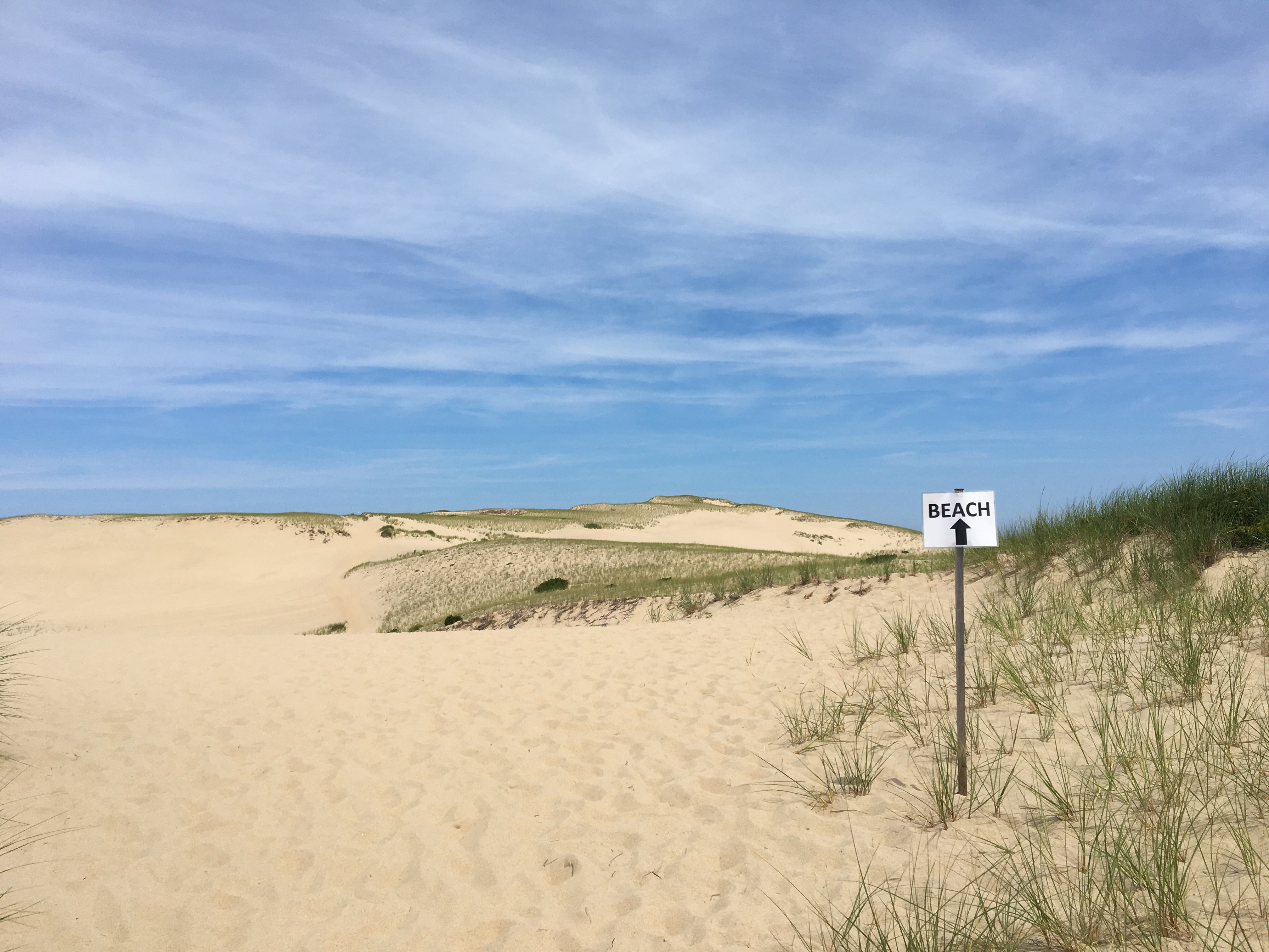 Camper submitted image from Dunes' Edge Campground - Provincetown Camping  - 2