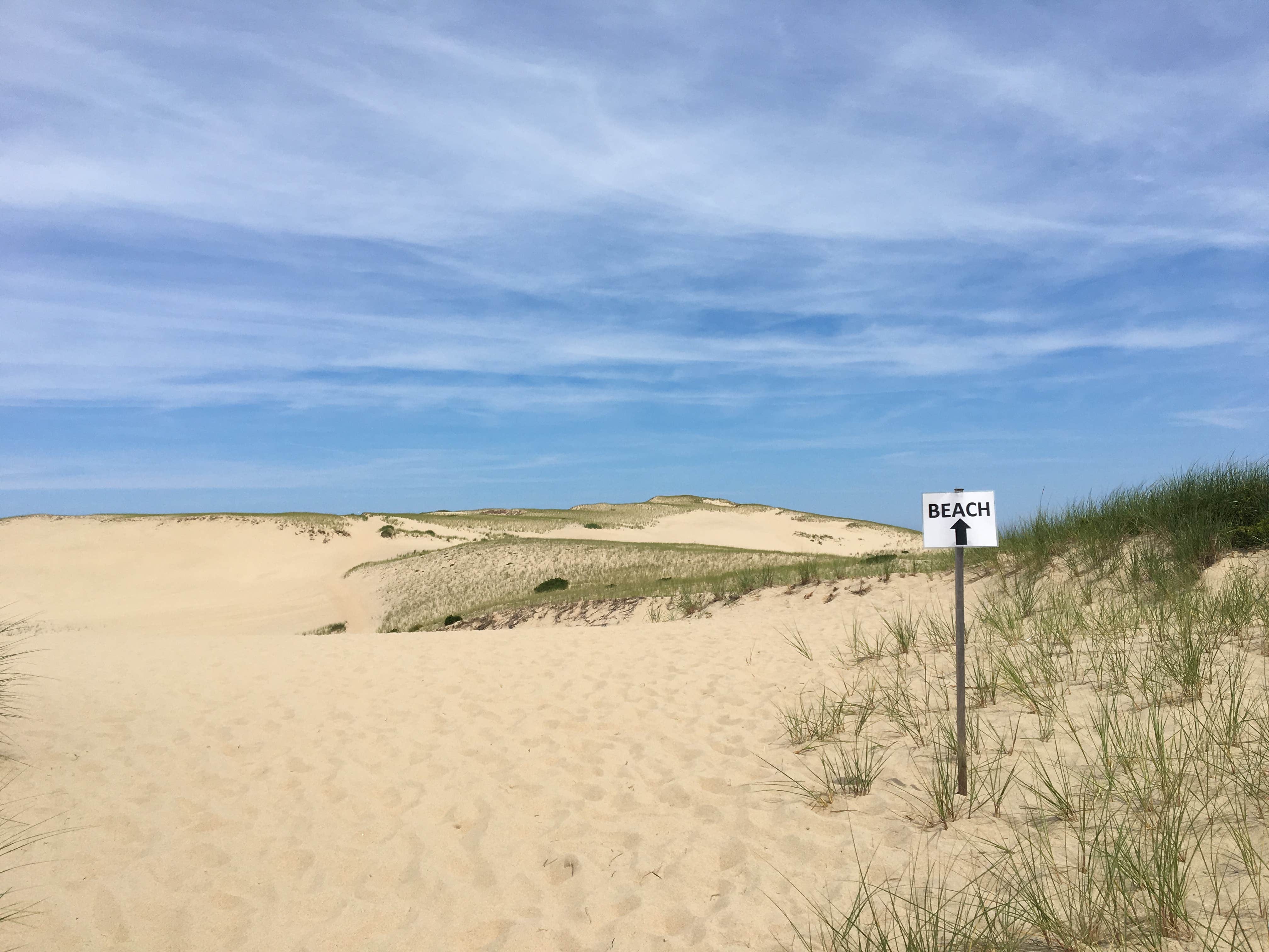 Camper submitted image from Dunes' Edge Campground - Provincetown Camping - 2