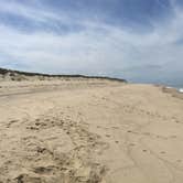 Review photo of Dunes' Edge Campground - Provincetown Camping by Olivia R., August 8, 2018