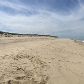 Review photo of Dunes' Edge Campground - Provincetown Camping  by Olivia R., August 8, 2018