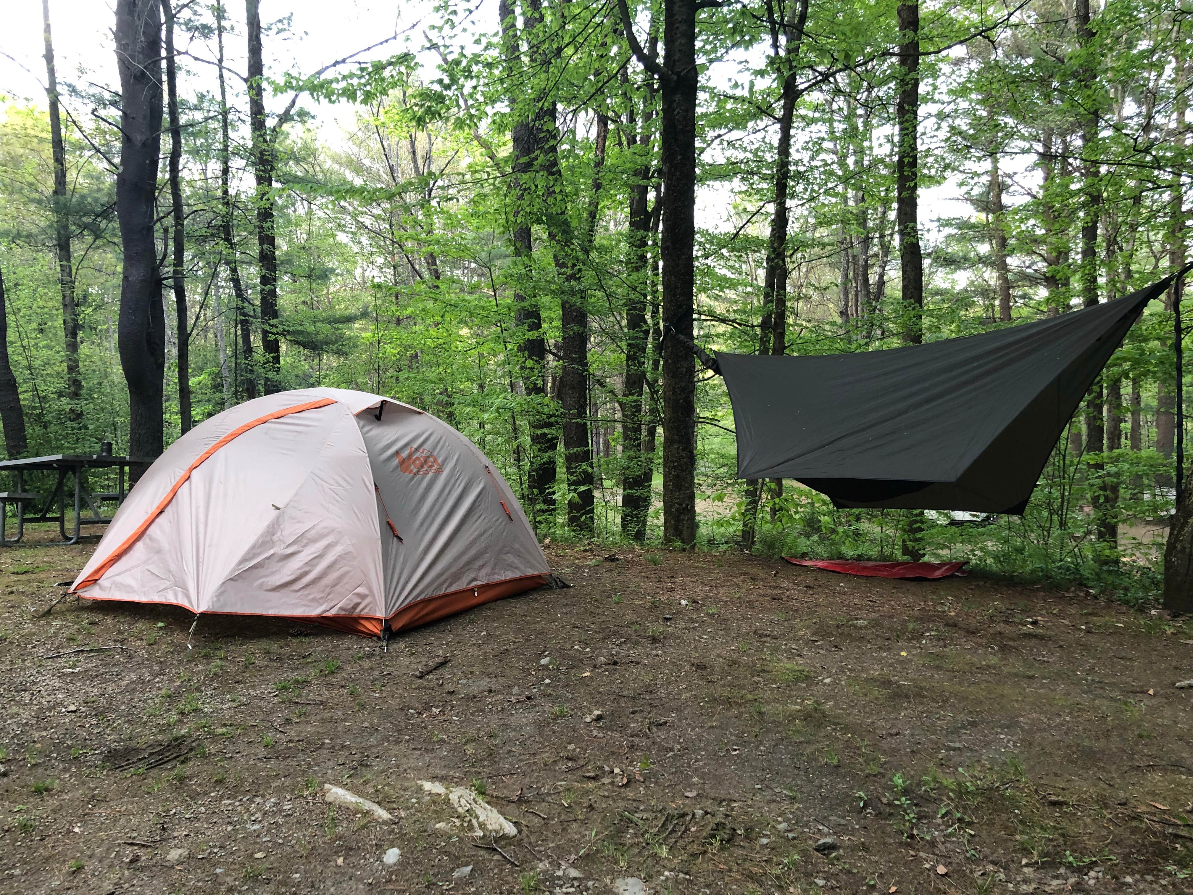 Rare E.'s photo at Mt. Greylock Campsite Park near Stephentown, NY