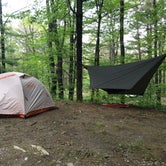 Review photo of Mt. Greylock Campsite Park by Rare E., August 8, 2018