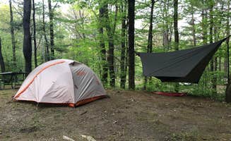 Rare E.'s photo at Mt. Greylock Campsite Park near New Ashford, MA