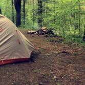 Review photo of Mt. Greylock Campsite Park by Rare E., August 8, 2018