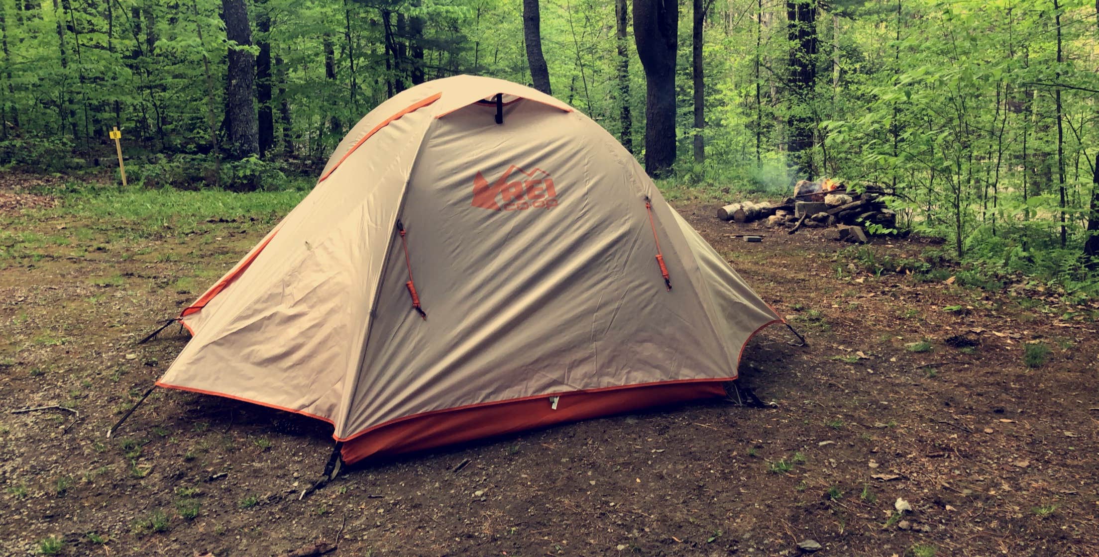 Camper submitted image from Mt. Greylock Campsite Park - 5