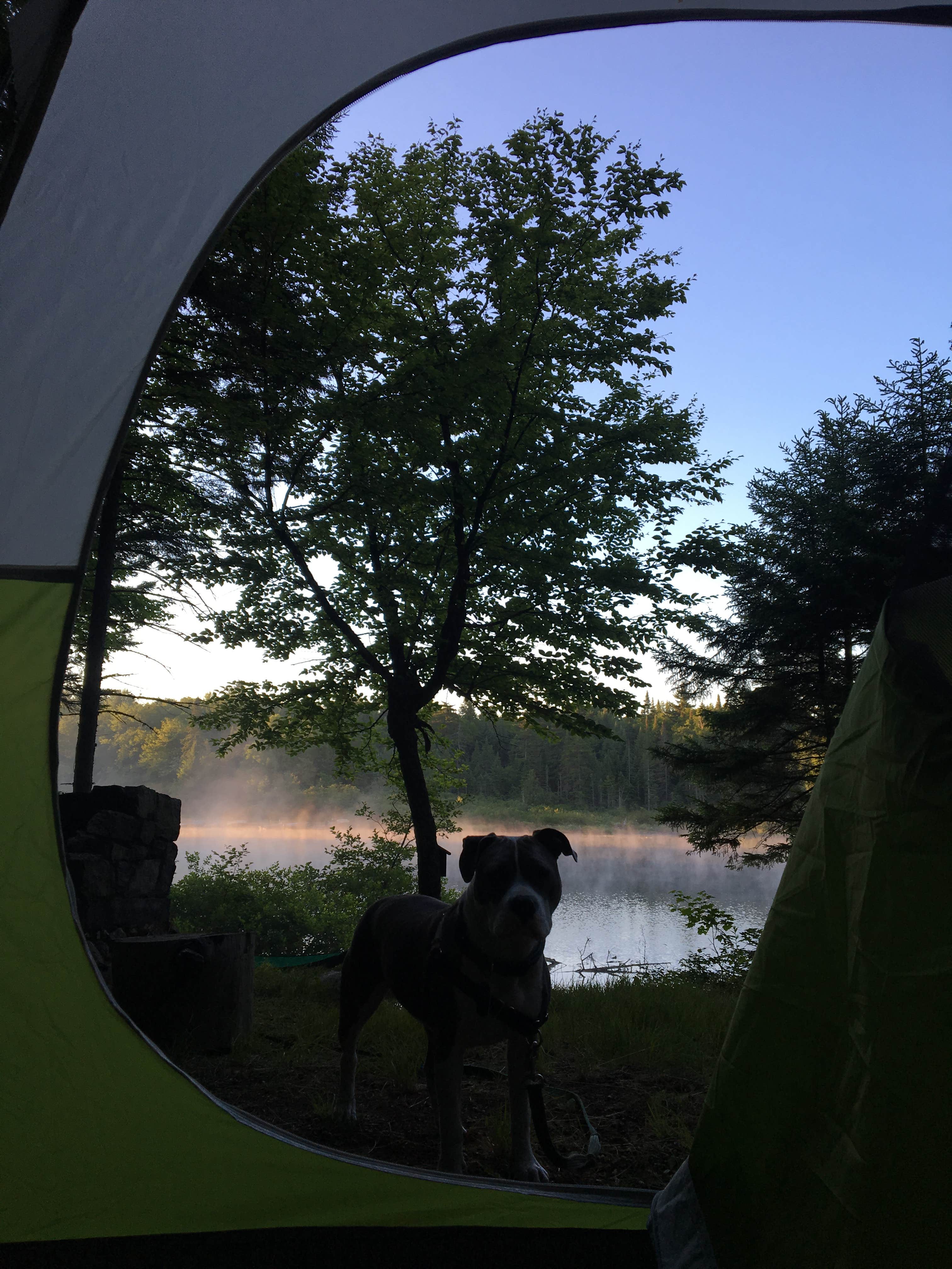 Campsites