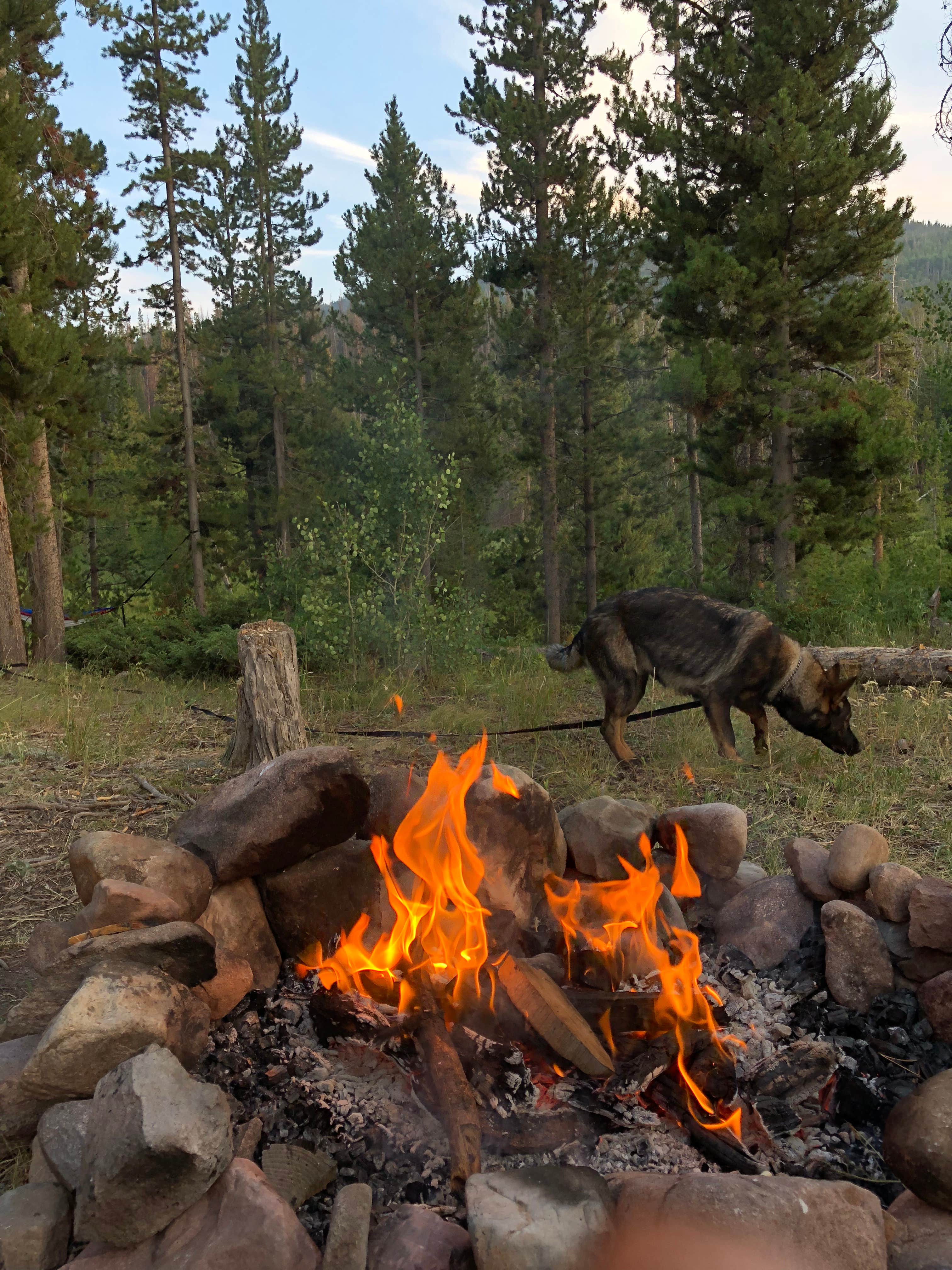 Hannah S.'s photo at Christmas Meadows near Robertson, WY