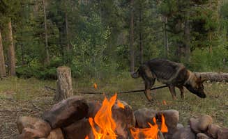 Hannah S.'s photo at Christmas Meadows near Fort Bridger, WY