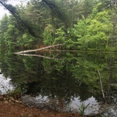 Review photo of Harold Parker State Forest by Olivia R., August 8, 2018