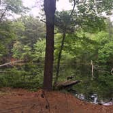 Review photo of Lorraine Park Campground — Harold Parker State Forest by Olivia R., August 8, 2018