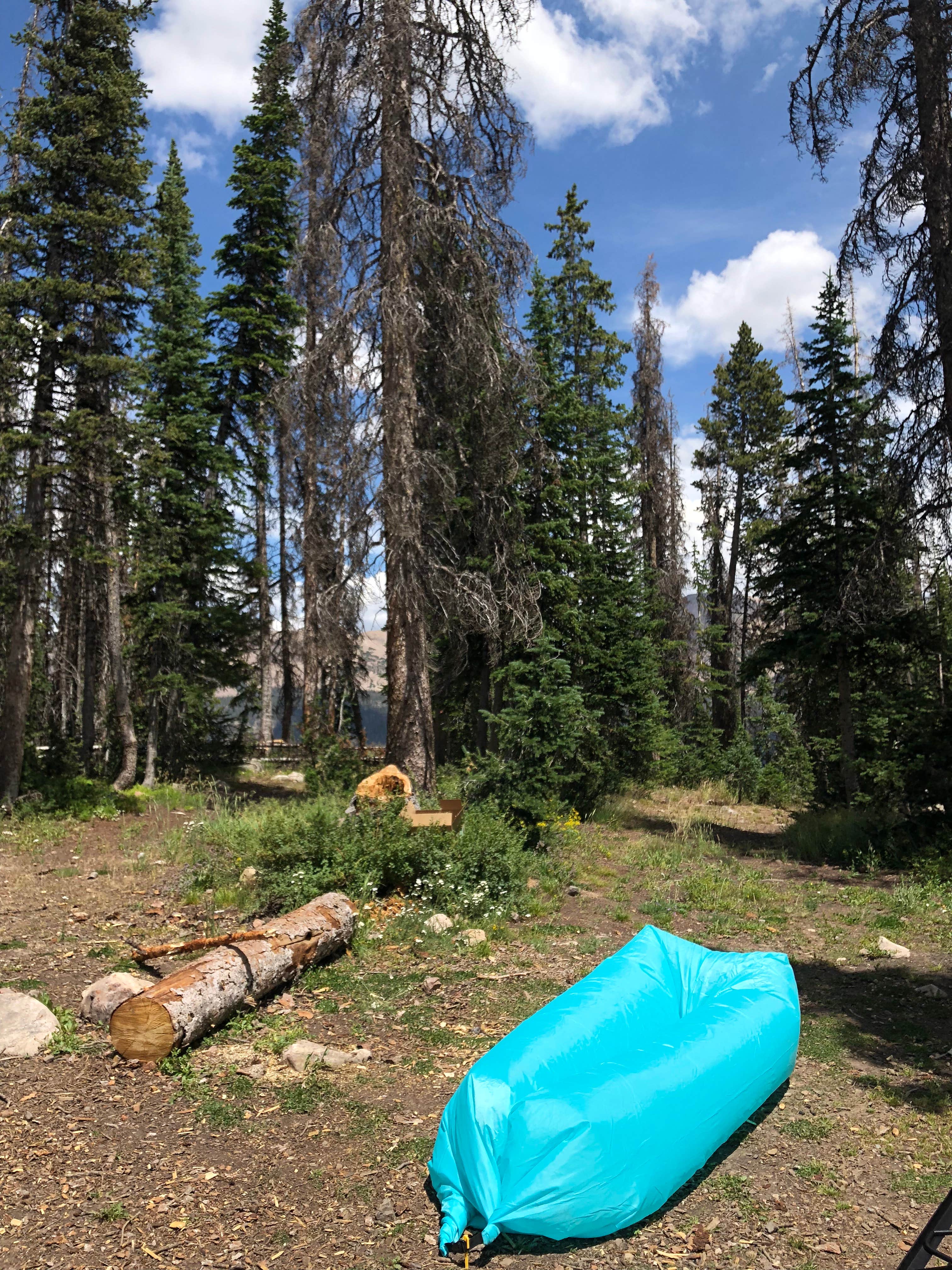 Camper submitted image from Wasatch National Forest Moosehorn Campground - 5