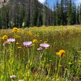 Review photo of Wasatch National Forest Moosehorn Campground by Hannah S., August 8, 2018