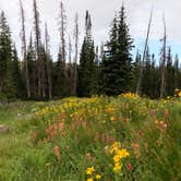 Review photo of Wasatch National Forest Moosehorn Campground by Hannah S., August 8, 2018