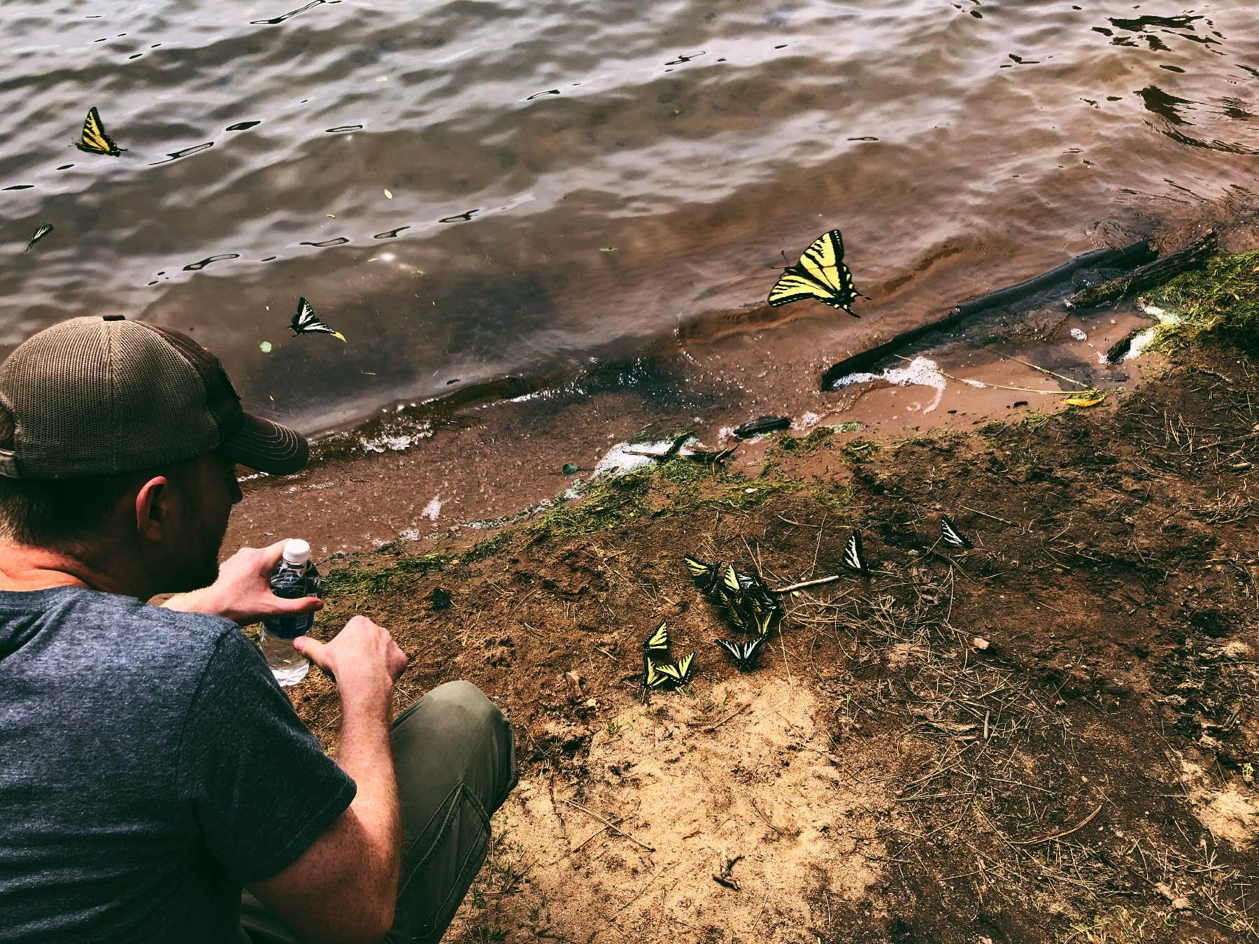 Camper-submitted photo at Sagehen Creek near Ola, ID