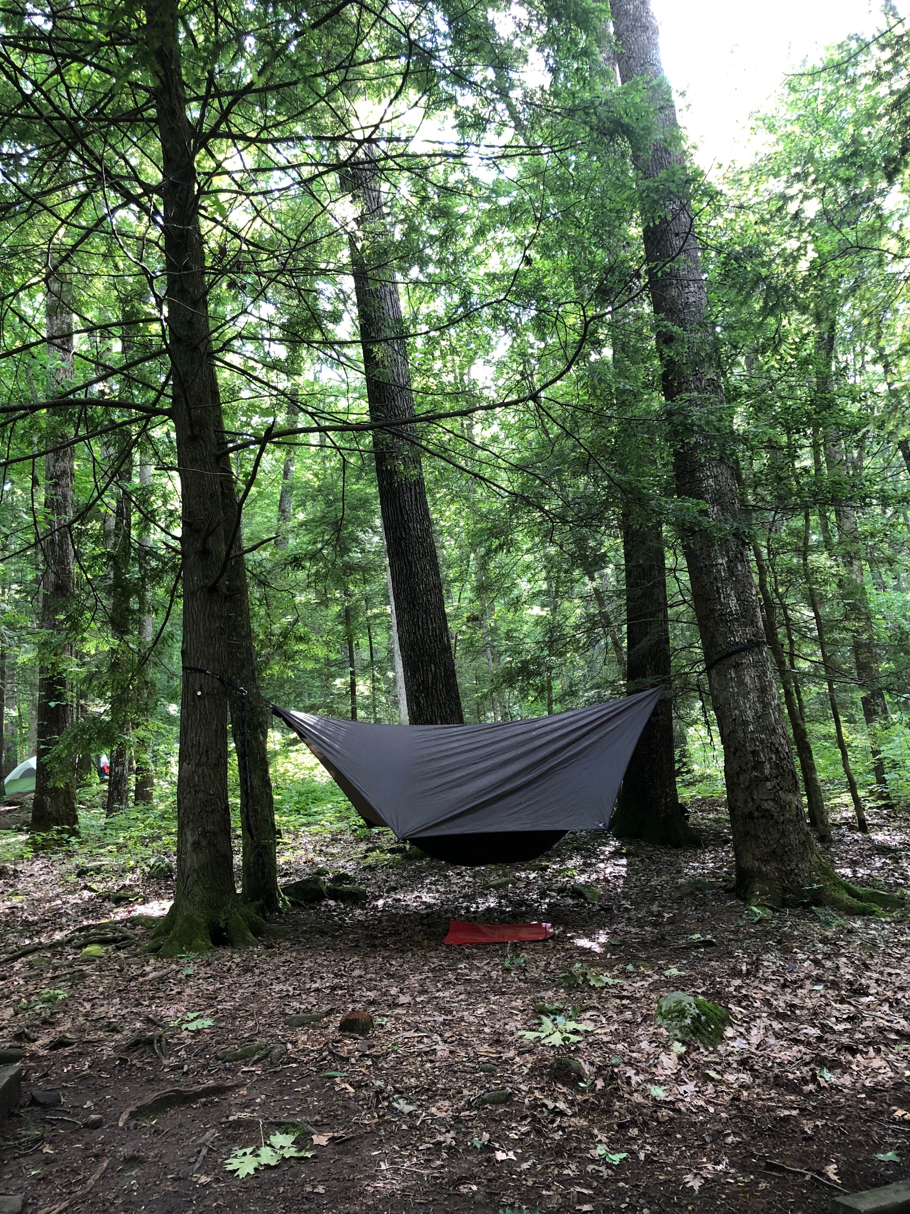 Rare E.'s photo at Vogel State Park Campground near Chattahoochee-Oconee National Forests