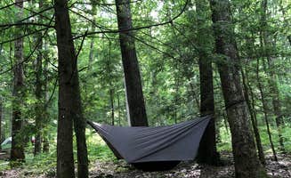 Rare E.'s photo at Vogel State Park Campground near Chattahoochee-Oconee National Forests