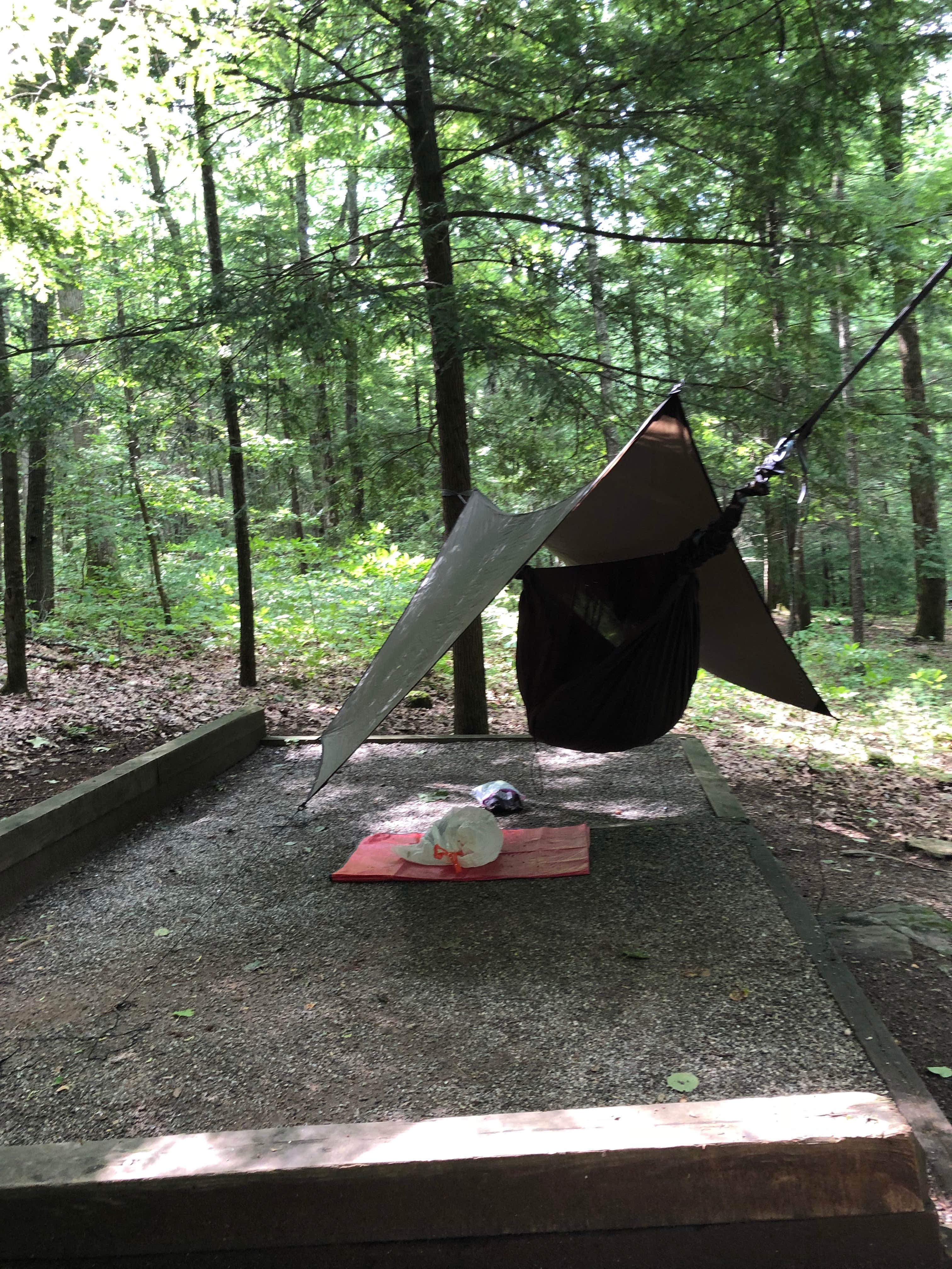 Rare E.'s photo at Vogel State Park Campground near Blairsville, GA